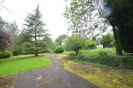 Gallery 01