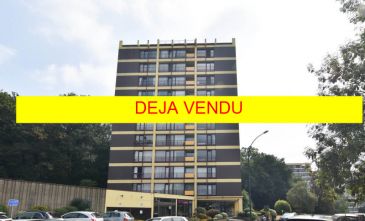 VENDU : VIAGER OCCUPE appartement 1 chambre avec vue panoramique